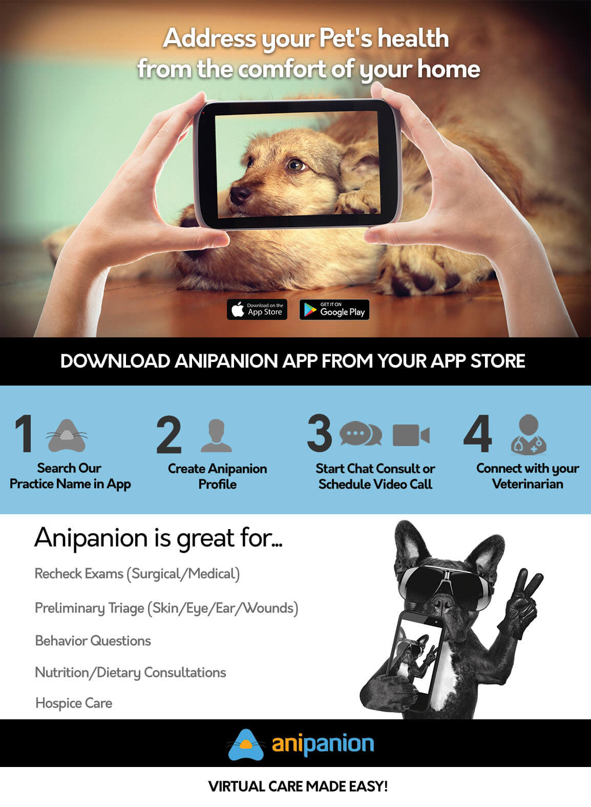 Anipanion Flyer