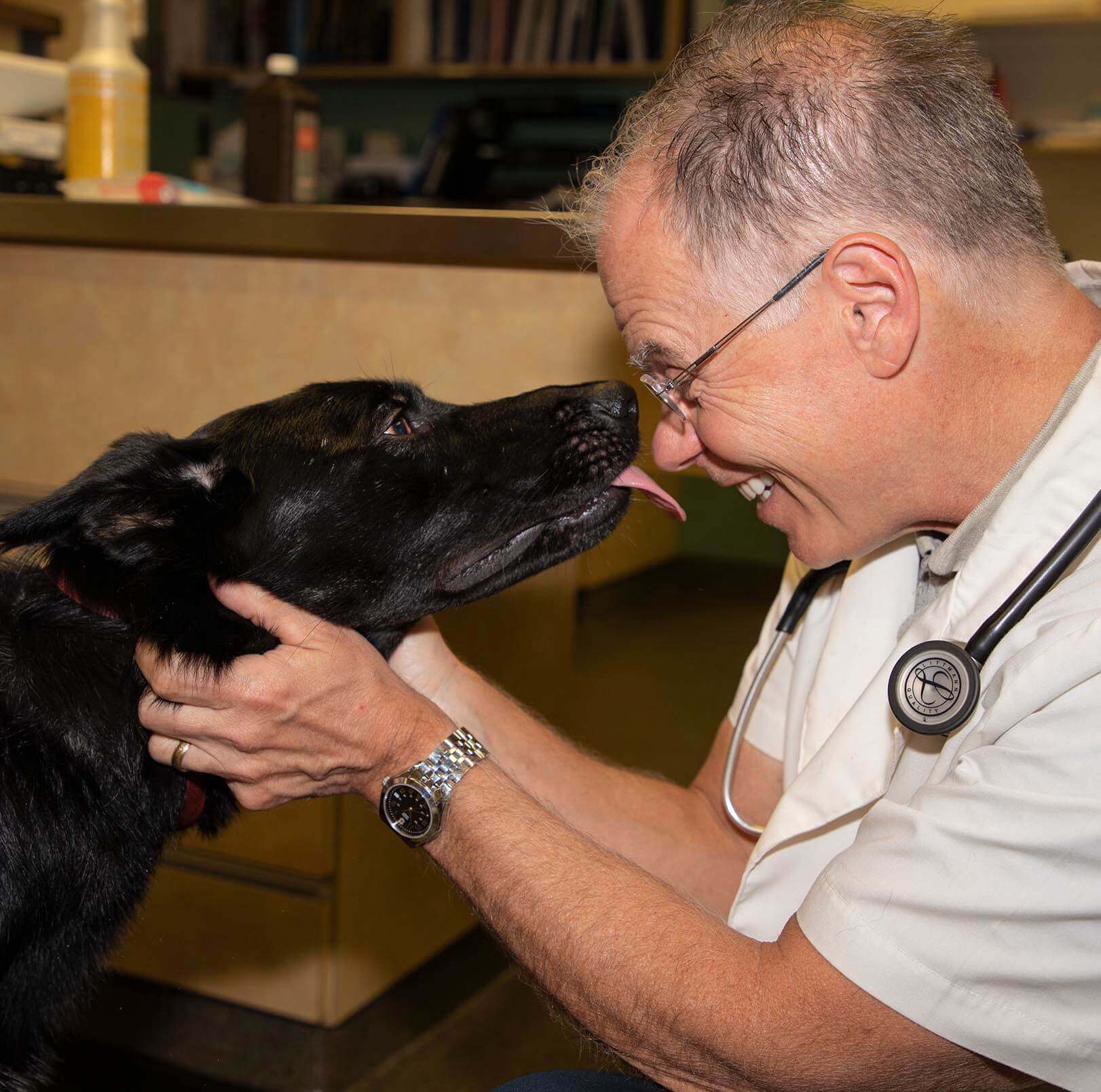 animal hospital of statesville preventative health