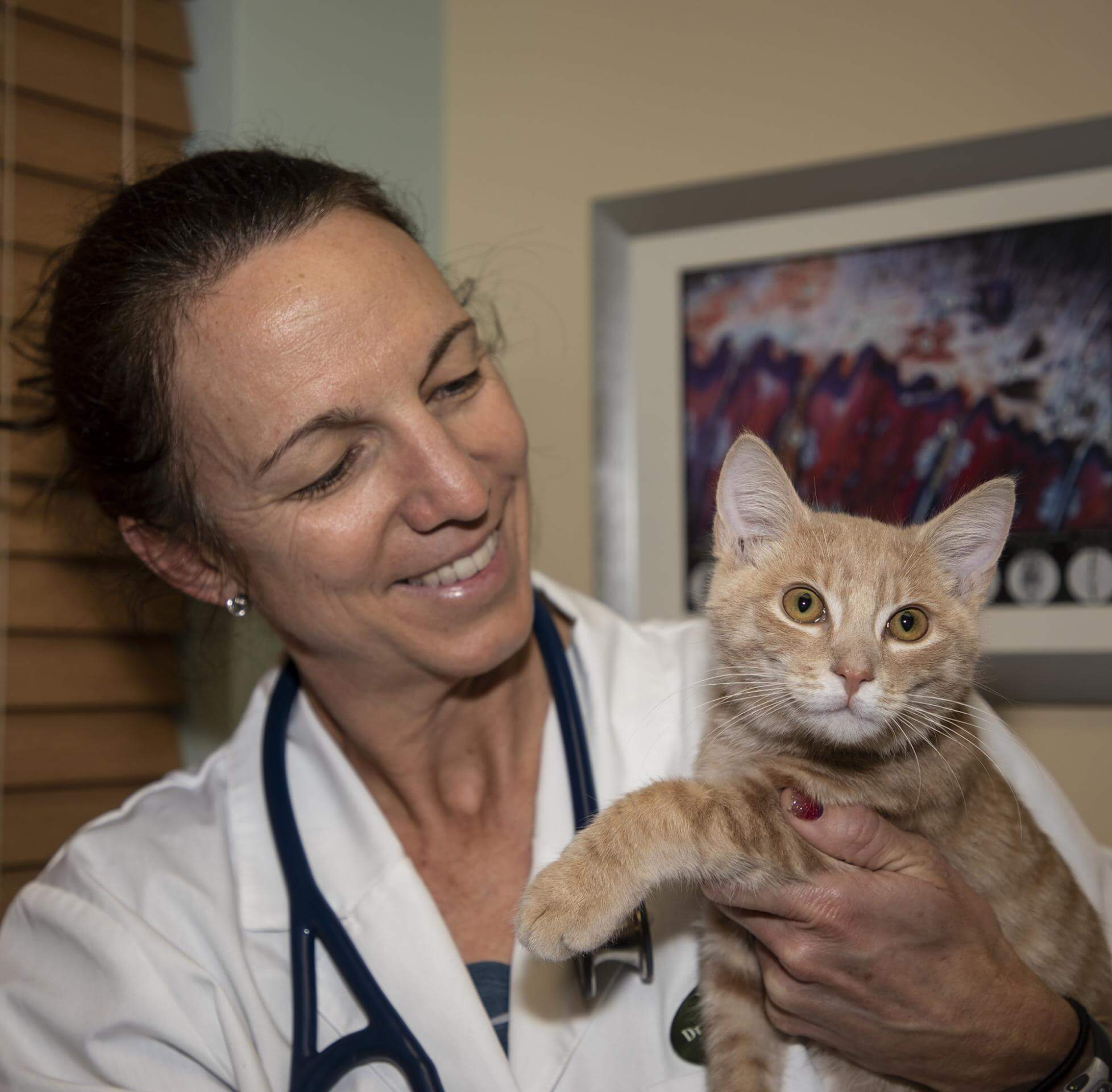 Dr. Gaither is smiling at with an orange tabby cat that she is holding.