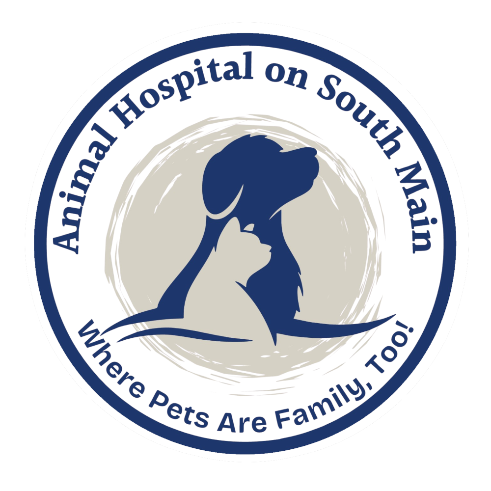 Animal Hospital of Statesville