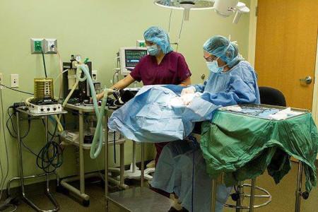 surgery and dentistry