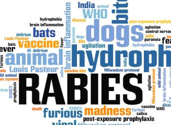 Rabies