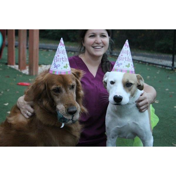 bday dogs